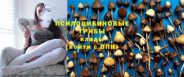 PSILOCYBIN Богданович