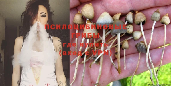 PSILOCYBIN Богданович